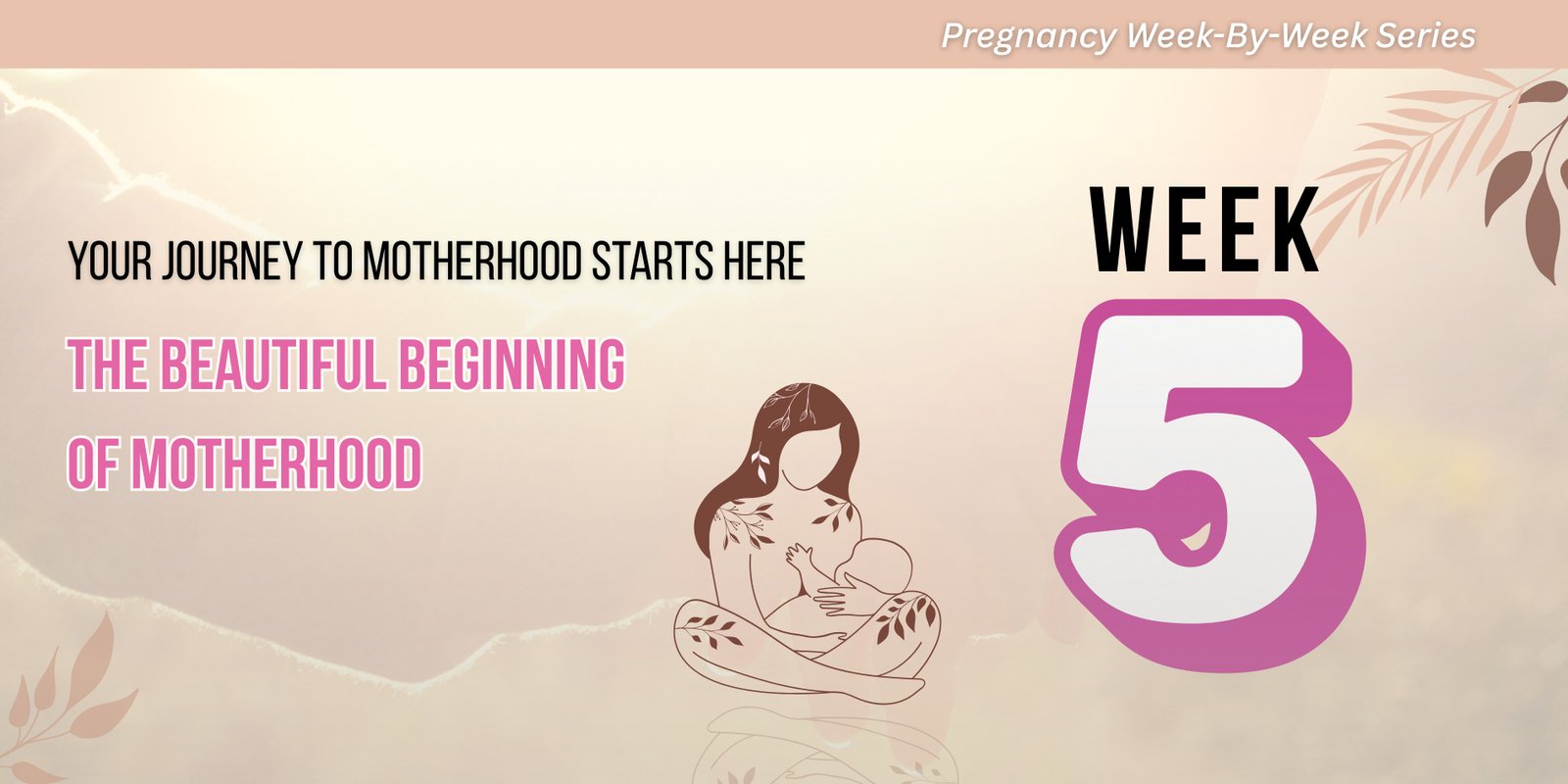 gynecologist-consultation-noida-sector-41-dr-pavana